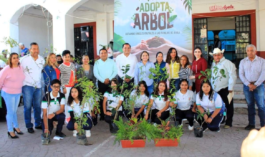 Las autoridades buscan involucrar a diversos sectores en el programa de reforestación.