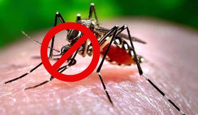 Intensifican acciones contra mosco transmisor del dengue en el surponiente