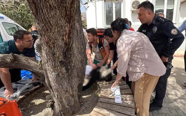 Tiroteo en escuela de Turqu&iacute;a deja nueve muertos y trece heridos