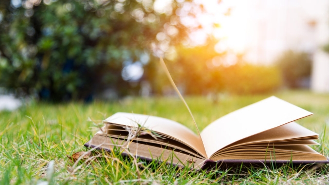 Sumérgete en historias: 7 libros imperdibles para disfrutar la primavera
