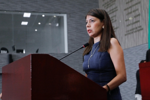 Plantea diputada Eleonor Martínez iniciativas para tipificar el acecho como un delito autónomo y en materia de seguridad pública