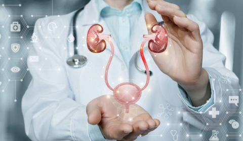 Equipo multidisciplinario, clave para el tratamiento integral del cáncer de próstata