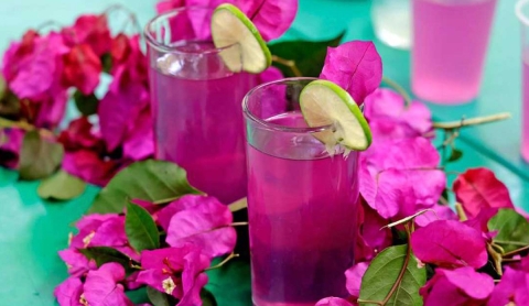 Bugambilia: la flor colorida que también cuida la salud y el paladar