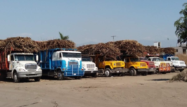 Hay incertidumbre entre productores por bajo precio en pago de caña