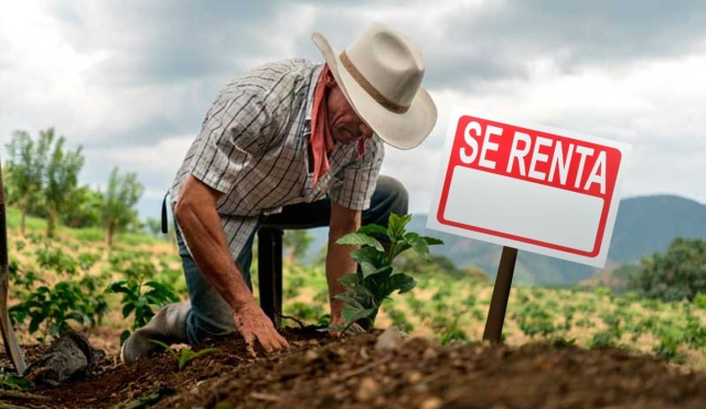 Agricultores del surponiente se ven orillados a rentar su tierra por costo de insumos