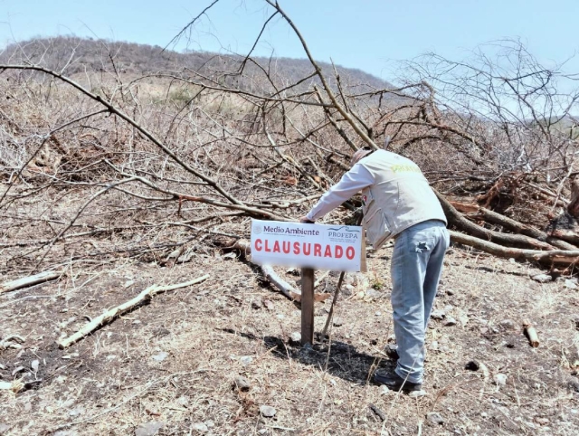 El personal de la Profepa coloc&oacute; los sellos de clausura luego de que el responsable del terreno no present&oacute; la autorizaci&oacute;n de cambio de uso de suelo en terrenos forestales.