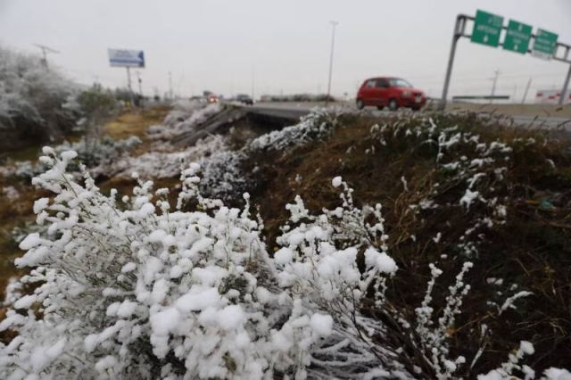 ¡No guardes la cobija! Llega frente frío 7 a México