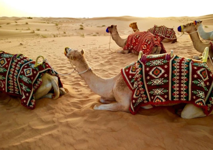 Con descargas eléctricas con drones, Dubai ha conseguido que llueva en mitad del desierto