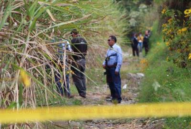 Hallan un cadáver entre cañaverales