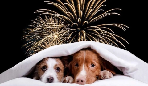 El Sol de M&eacute;xico