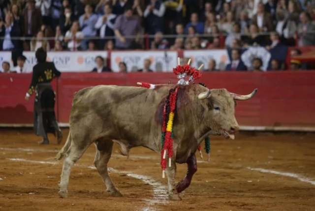 Frenan dictamen para prohibir corridas de toros.