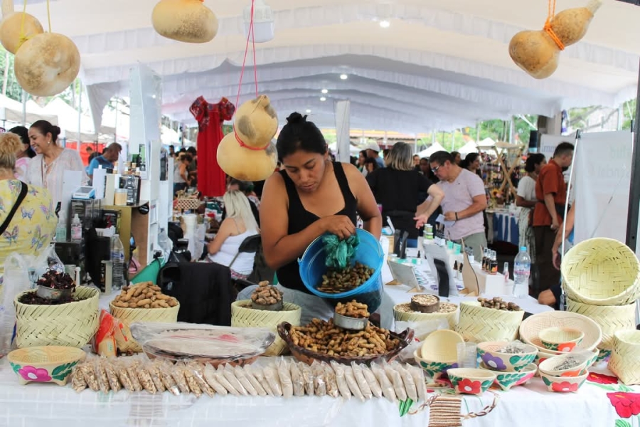 Impulsa Secretaría de Cultura 'Caravana de medicina tradicional y alternativa'