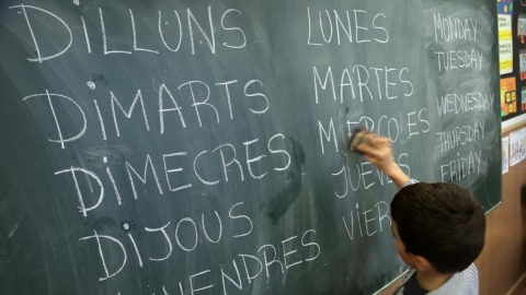 Hablar varios idiomas podr&iacute;a proteger al cerebro del envejecimiento, seg&uacute;n un estudio internacional