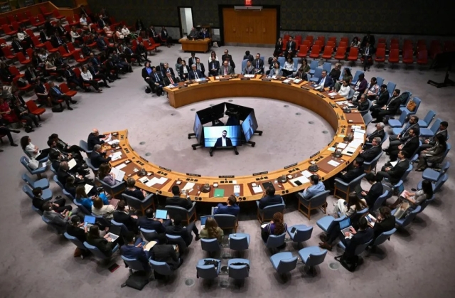 Consejo de Seguridad de la ONU.
