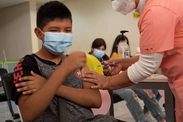 Vacunación COVID a niños de 5 a 11 años: México negocia compra de dosis con Pfizer
