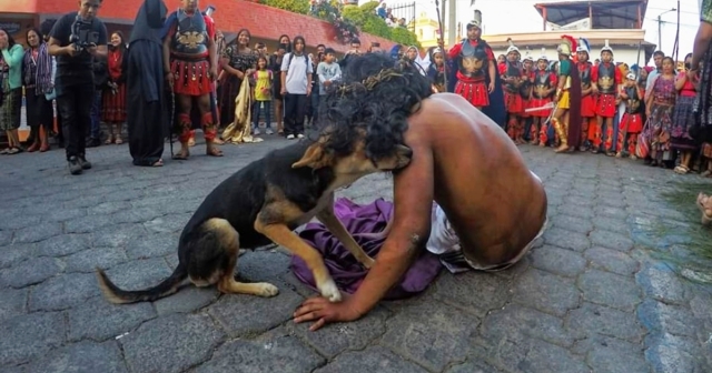 Perrito consuela a actor de &#039;Jesucristo&#039; en pleno viacrucis