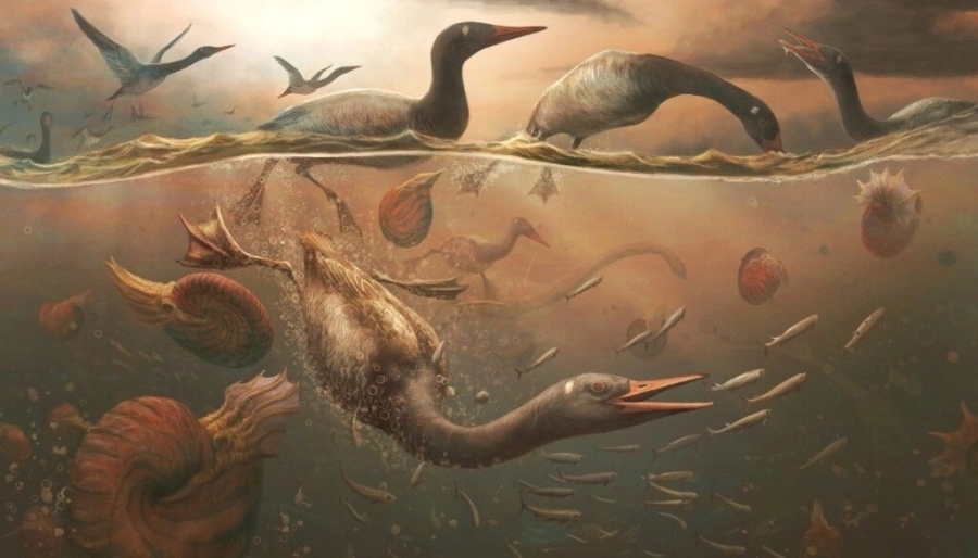 Nuevo fósil de ave antigua revela los orígenes de patos y gansos