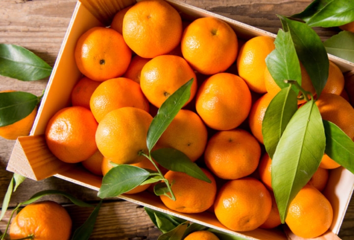 Sabor a cítrico: ¿Cuándo inicia la temporada de mandarinas?