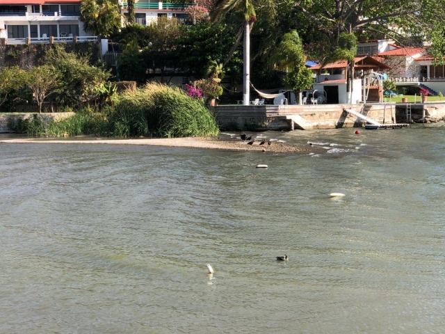 Alcanzarán problemas de agua a 75 zonas metropolitanas del país: experto