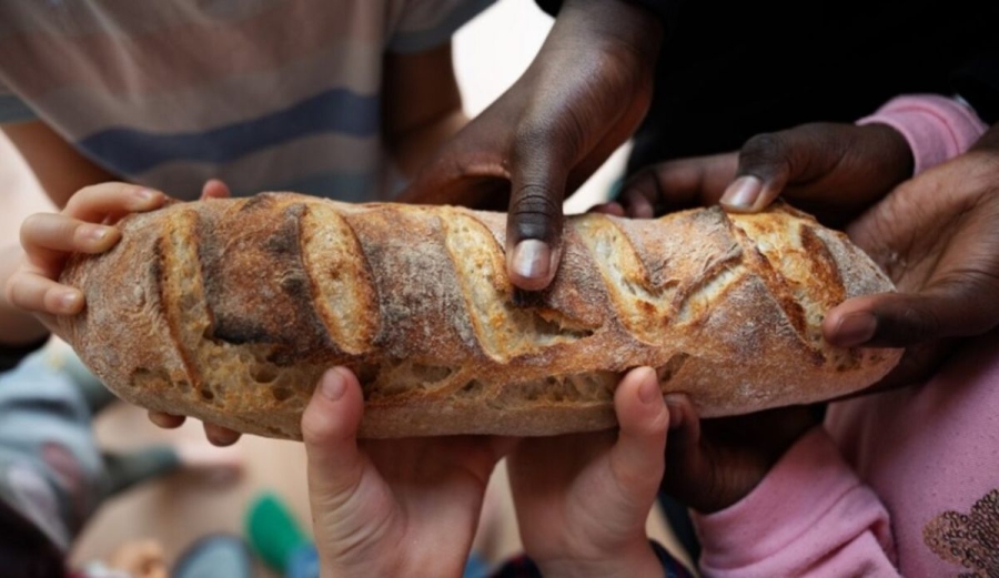 Día Mundial del Hambre: una llamada urgente a la acción global