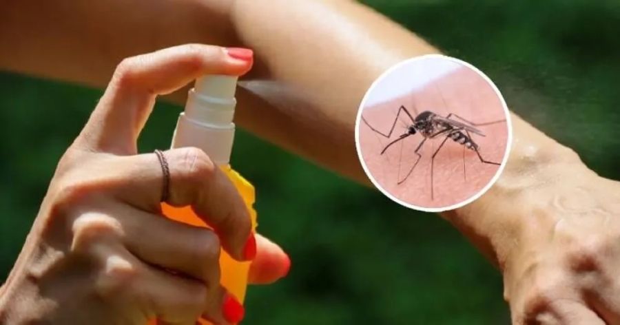 Repelente casero para mosquitos: Una solución natural y efectiva