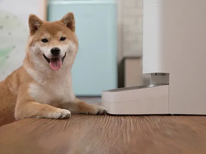 Xiaomi lanza el mejor combo para tu mascota: comedero y fuente inteligentes