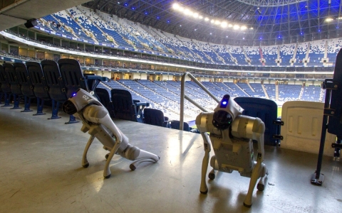 Perros robot reforzar&aacute;n vigilancia en el Mundial 2026 en Nuevo Le&oacute;n