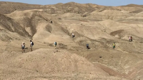 Descubrimiento fósil revela homínidos conviviendo con los primeros humanos