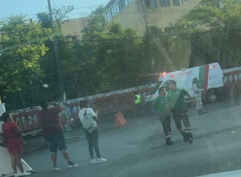 Un hombre fue atendido por los paramédicos a causa de las picaduras que sufrió.