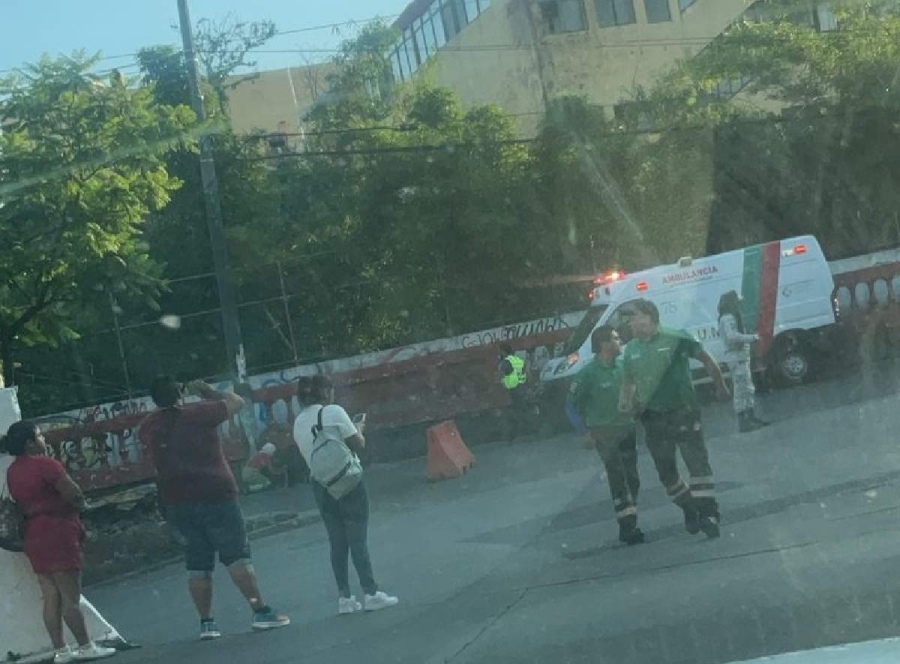 Un hombre fue atendido por los paramédicos a causa de las picaduras que sufrió.