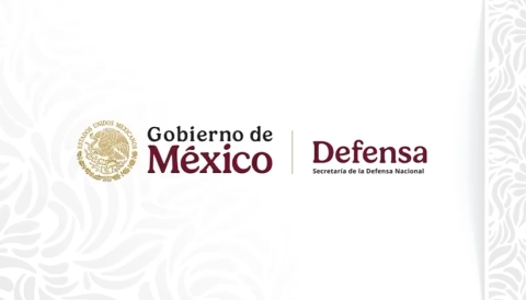 &iexcl;Gracias h&eacute;roes mexicanos!: Defensa