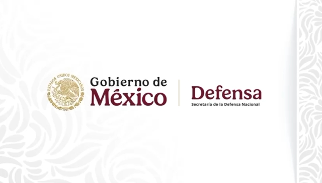 &iexcl;Gracias h&eacute;roes mexicanos!: Defensa