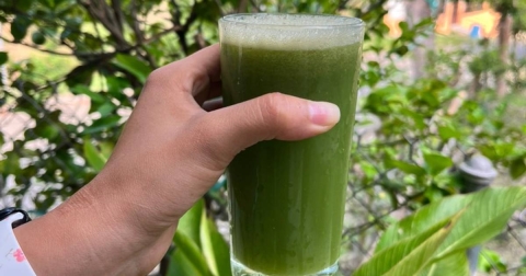 Beneficios de tomar jugo verde con guayaba: una opción saludable y energética