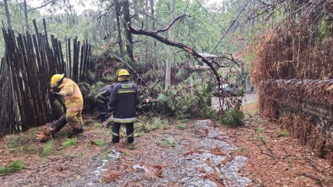 Afectaciones por lluvias en zona metropolitana