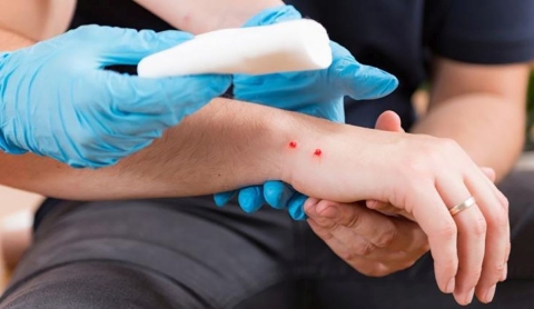 CuídatePlus - MARCA