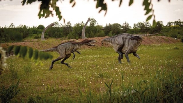 Dinosaurios dominaron la Patagonia chilena hace 70 millones de años: estudio