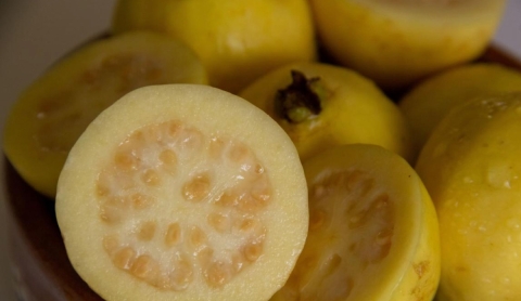 Comer una guayaba al día puede mejorar tu salud notablemente