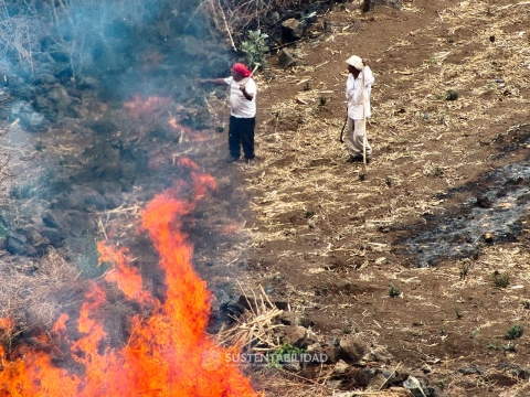 Detienen en flagrancia a dos presuntos responsables de provocar incendio en Tepoztl&aacute;n
