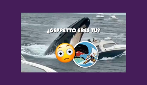 ¿En serio es real? Video de Ballena Jorobada &quot;Devorando&quot; un Bote