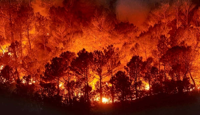 Se registran en este año 44 incendios forestales