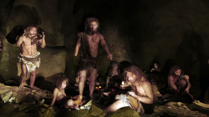 Hallazgo de un pegamento prehistórico, revela que los neandertales hacían química