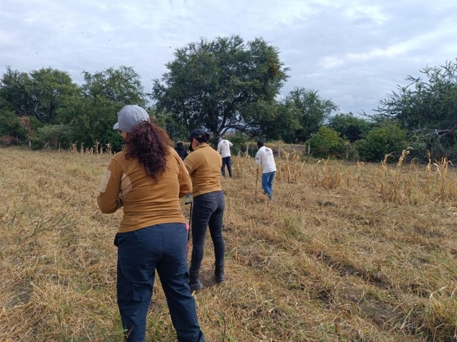 Localiza Comisión de Búsqueda de Personas restos óseos en Cuautla