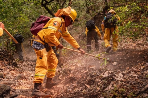 Tambi&eacute;n se realizan labores preventivas, como las brechas cortafuego en las zonas de mayor riesgo, inform&oacute; la SDS. 