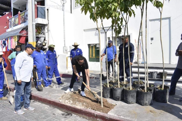 Integrantes del Cabildo realizaron la reforestación en el primer cuadro de Jojutla para mejorar la imagen urbana y contribuir al cuidado del medio ambiente.