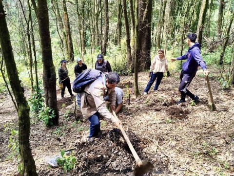 Planean plantar 10 mil árboles en Cuernavaca 