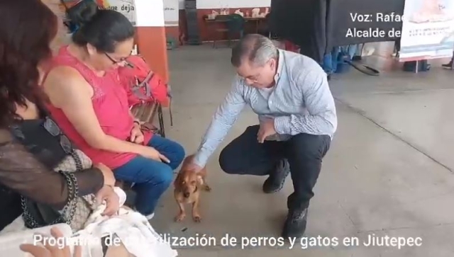 Primer aniversario del programa de esterilización de perros y de gatos en Jiutepec
