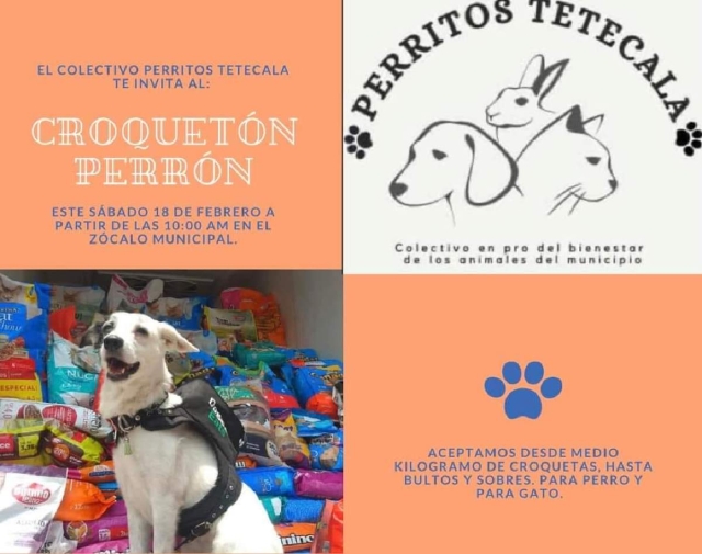 Recolectarán croquetas para perros y gatos de la calle en Tetecala