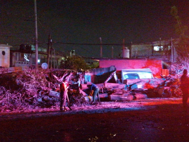 Colapsa árbol y cae sobre tres puestos de comida; no hubo lesionados