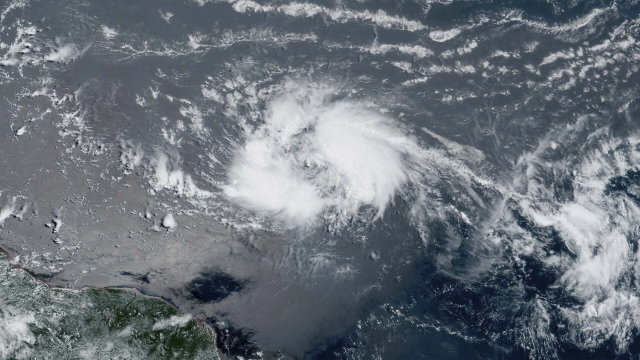 Tormenta tropical Cindy se forma en el Atlántico