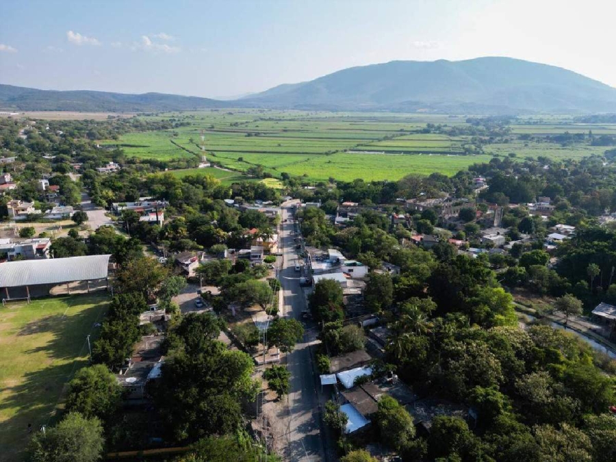 El delegado partidista aseguró que tiene el compromiso de la empresa panificadora de adquirir una importante cantidad de amaranto, que busca que se siembre en Tlaltizapán.